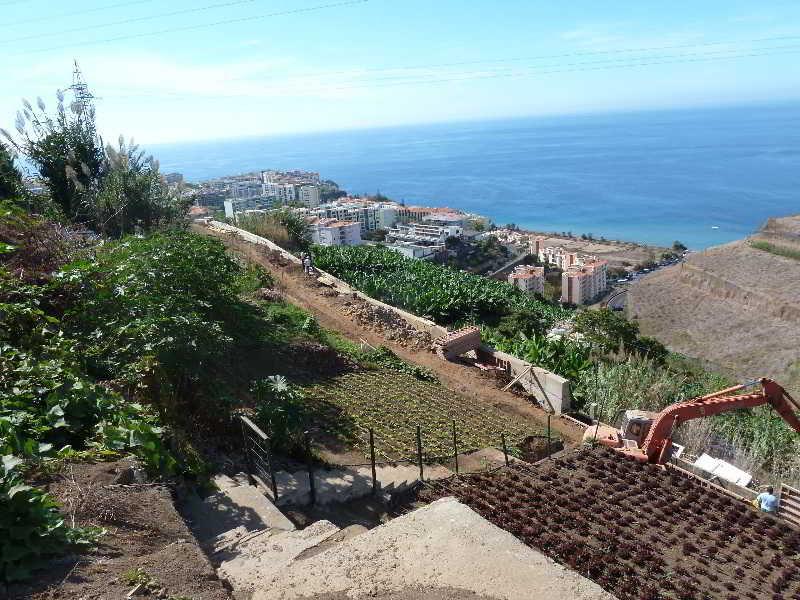 Casa Do Papagaio Verde Hotell Funchal  Exteriör bild